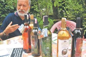 20160907104811_wine_20130822090650