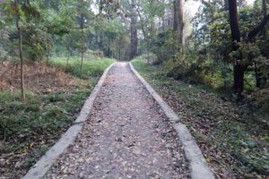 20170425101307_ranibari