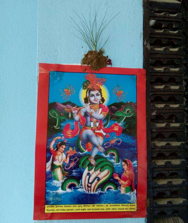 20170729111650_nag_panchami