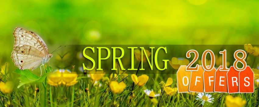 20180211080631_ntc_spring