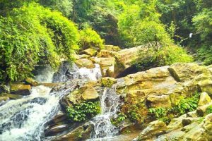 20190918082145_IMG_20190906_131613