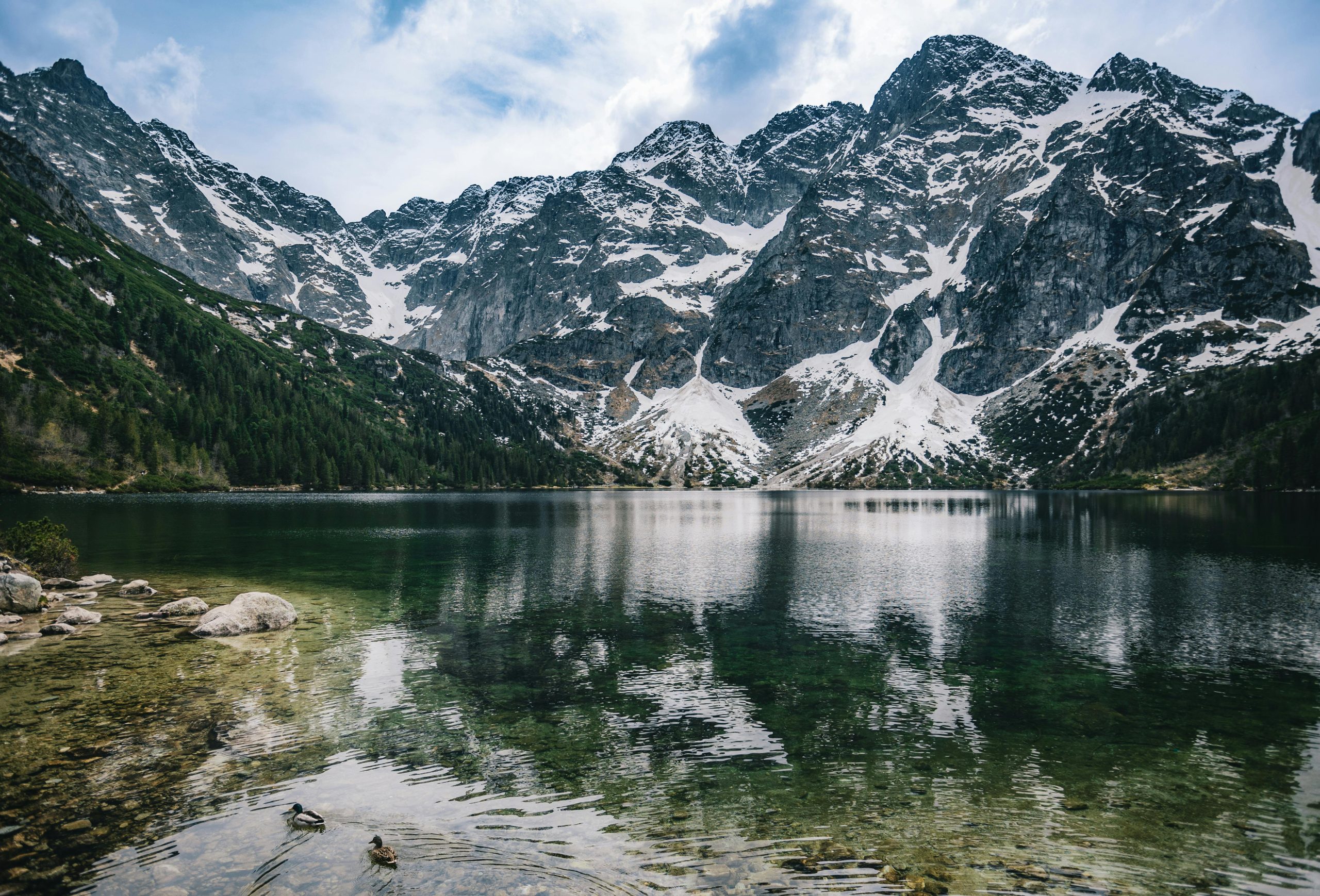 The lake is crystal-clear and lures everyone with its natural beauty. Rara Lake is home to diverse flora and fauna as it lies in the Rara National Park.