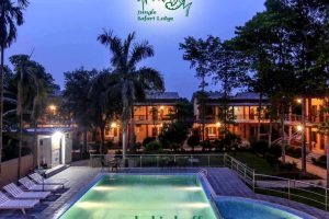 jungle safari lodge