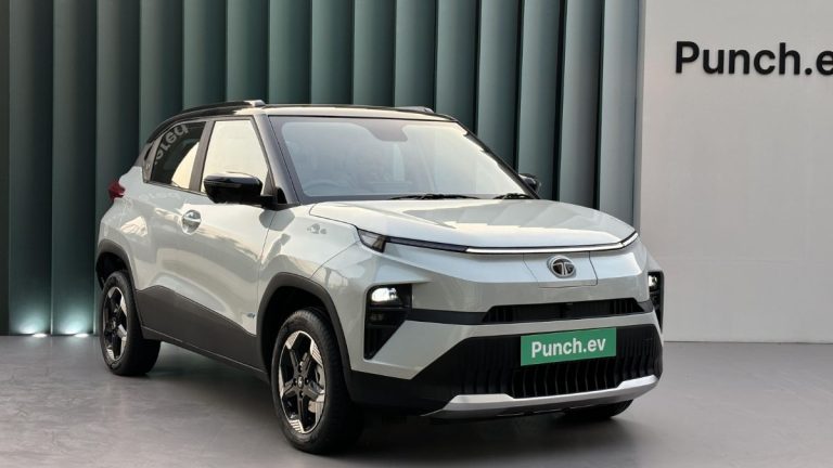 Punch EV