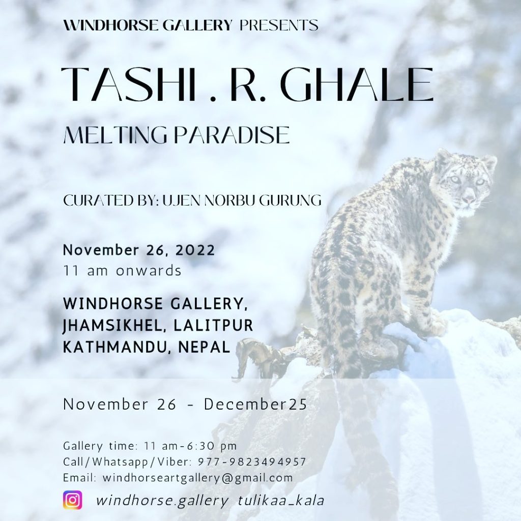 "Melting Paradise" Art Exhibition Kicks Off at Windhorse Gallery