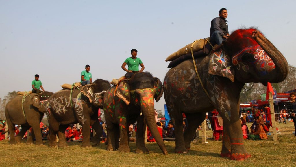 The Chitwan Elephant and Tourism Festival