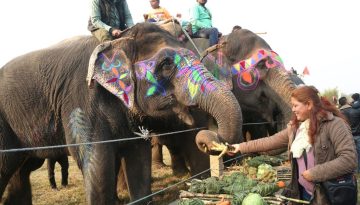 18th Chitwan Elephant and Tourism Festival