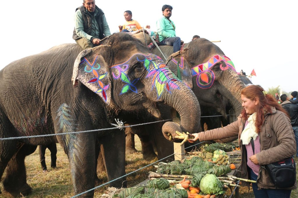 18th Chitwan Elephant and Tourism Festival
