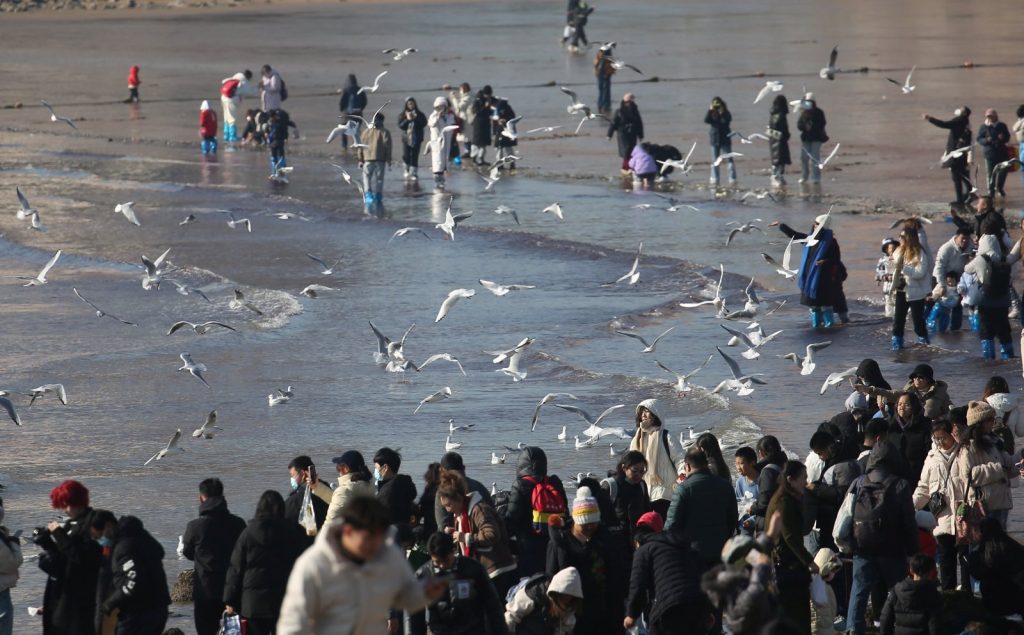 WhatsApp Image 2025 01 03 at 1.06.02 PM 8