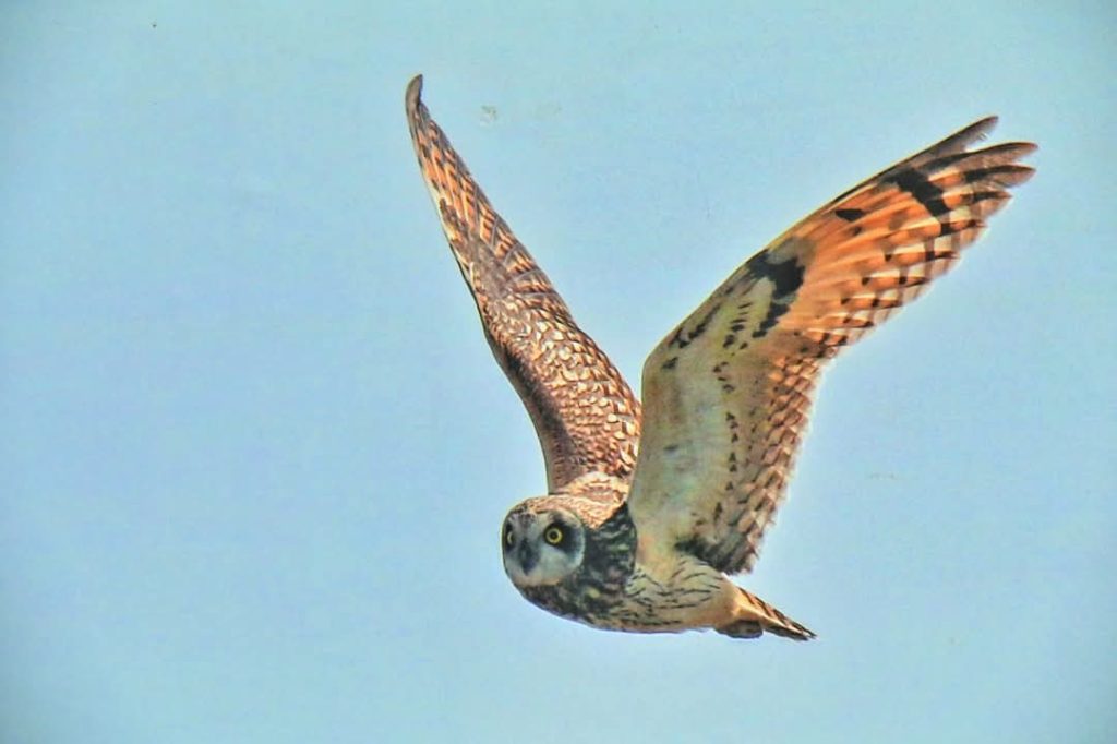 FB IMG 1739020131527