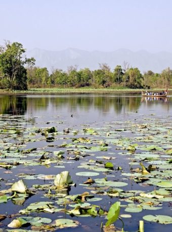 wetland