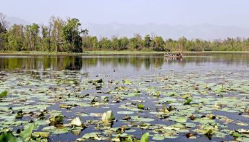 wetland