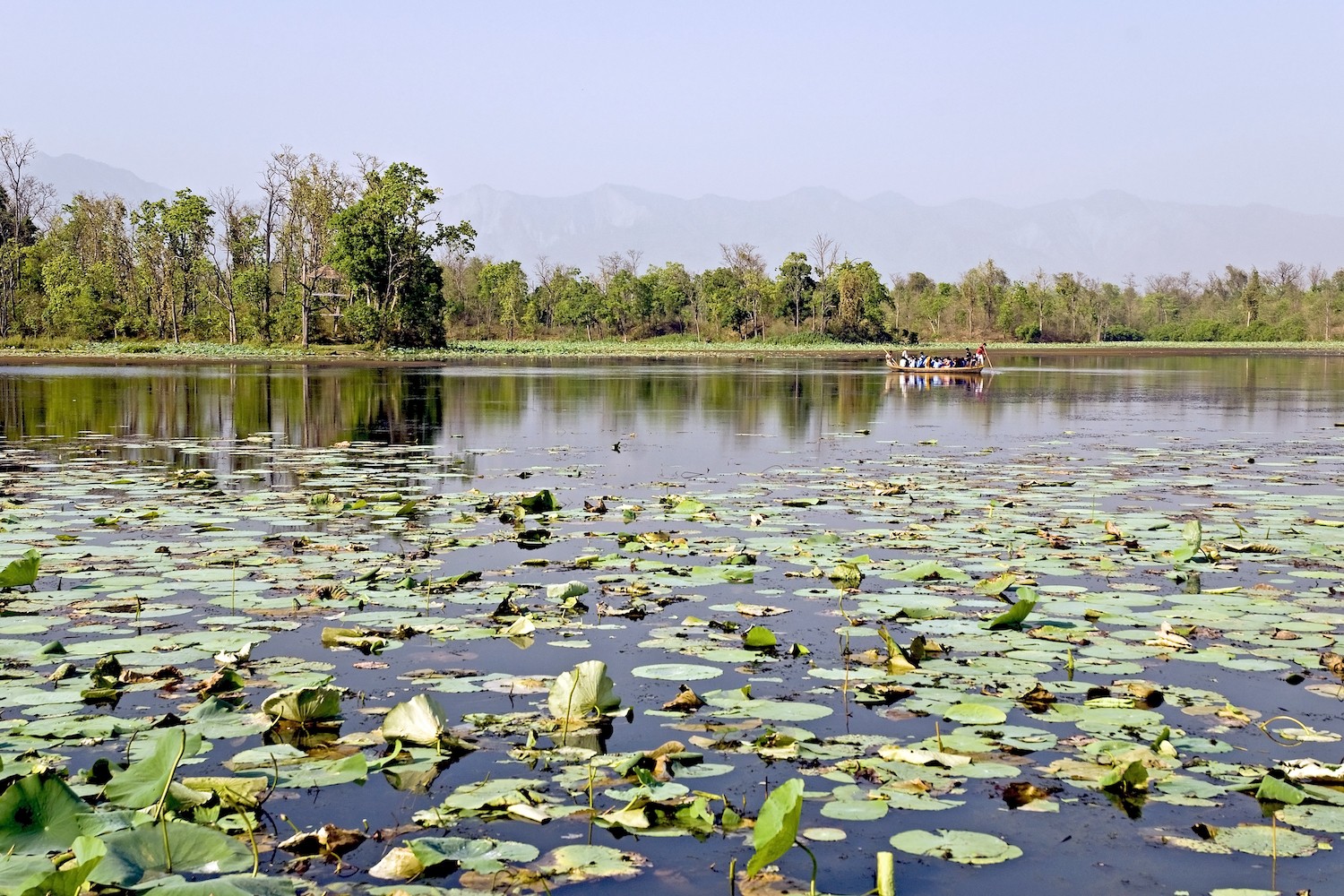 wetland