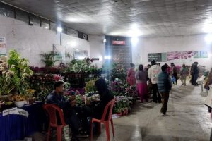 floraexpo- (2)