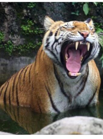 WhatsApp Image 2025-07-29 at 9.51.20 AM