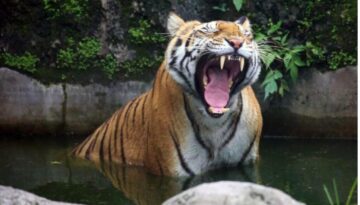 WhatsApp Image 2025-07-29 at 9.51.20 AM