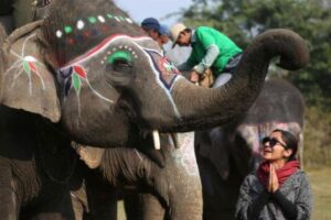 c5874070-84d6-40d4-b632-f03f5c8c1d1c