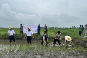 e50e35ed-1aa8-49a2-ac36-f1e8b731b1f6