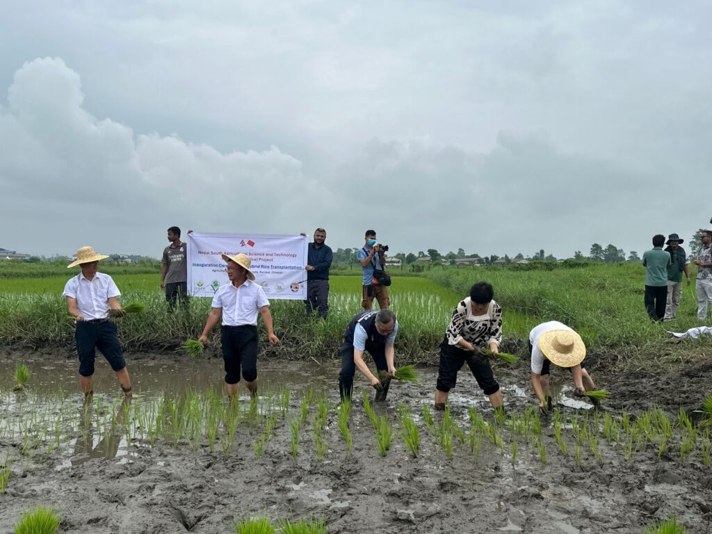 e50e35ed 1aa8 49a2 ac36 f1e8b731b1f6