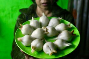 f57df0d4-6f7a-4971-9661-56988c42053c