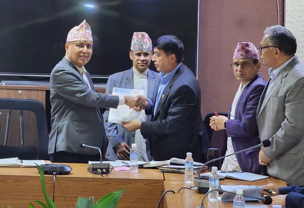 939c6fc2 878b 40ec a439 ae19c5cac355