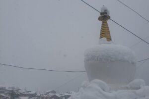 1185f7ed-454b-406f-a291-ac0e252b3b58