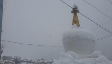 1185f7ed-454b-406f-a291-ac0e252b3b58