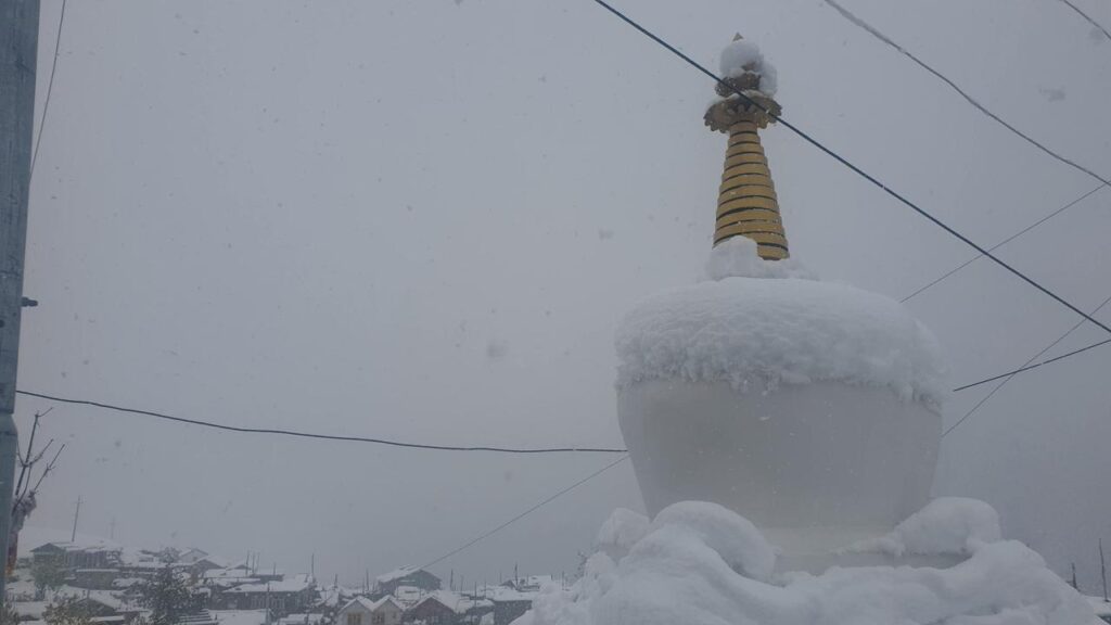 1185f7ed 454b 406f a291 ac0e252b3b58