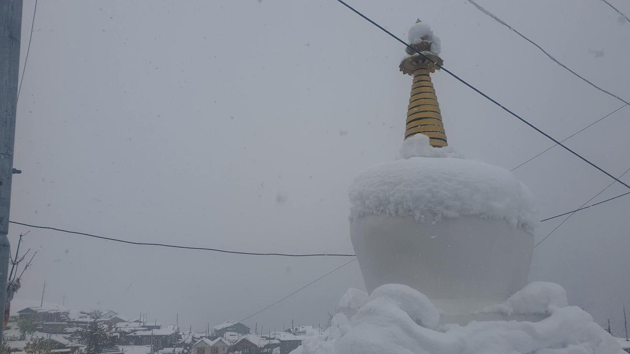 1185f7ed-454b-406f-a291-ac0e252b3b58