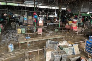 611bbf82-59bc-41a0-b2f0-fad2e3122ee6