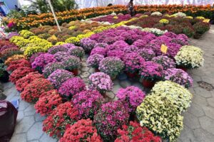 c86a6450-0335-4617-893c-9ee181e5cfb4