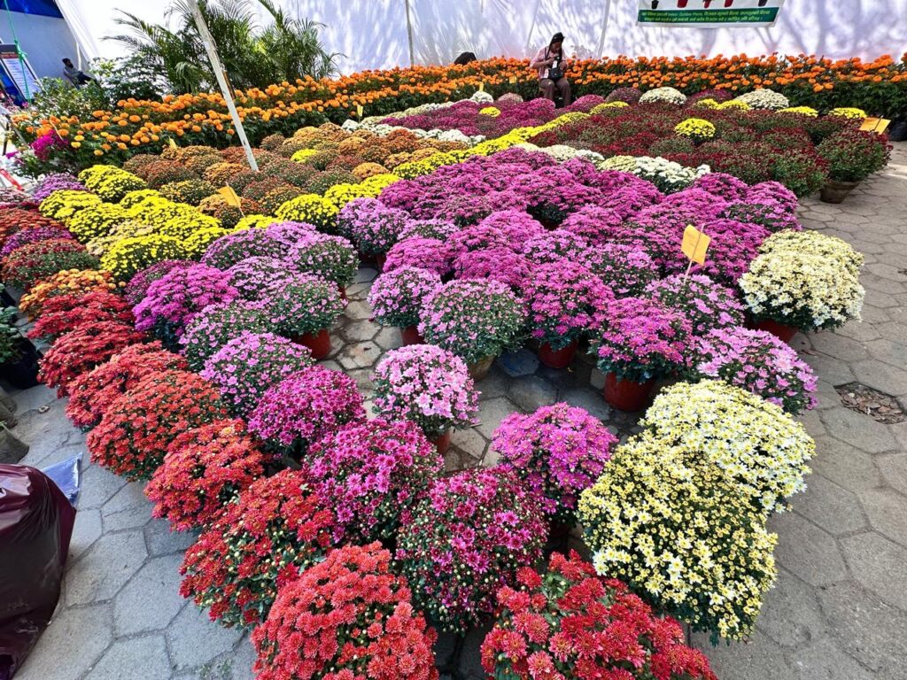 Third Tihar Flora Expo Ongoing at Bhrikutimandap, Kathmandu