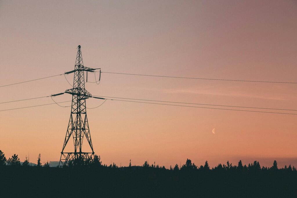 pexels photo 12439612