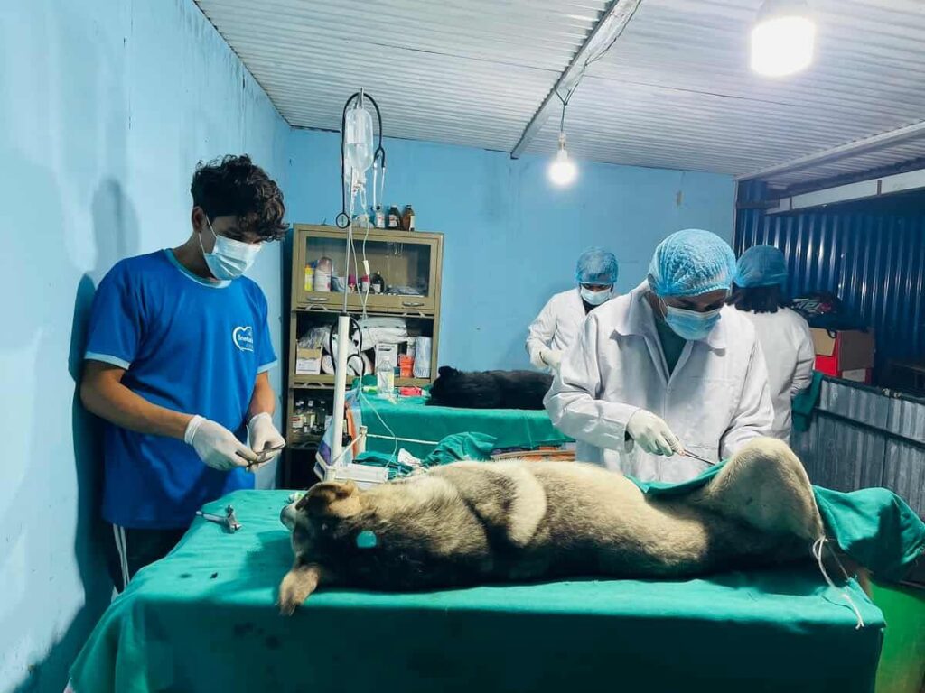 WhatsApp Image 2025 11 14 at 3.27.29 PM