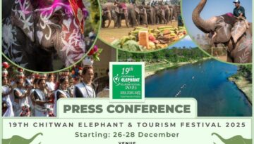 985a8dfa-4ff2-401f-90b9-89afaf5666e1