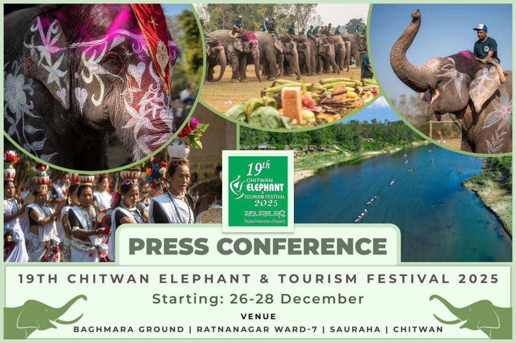 985a8dfa 4ff2 401f 90b9 89afaf5666e1