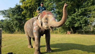 f213c0f5-8448-4d87-8a02-aa09c22529ff