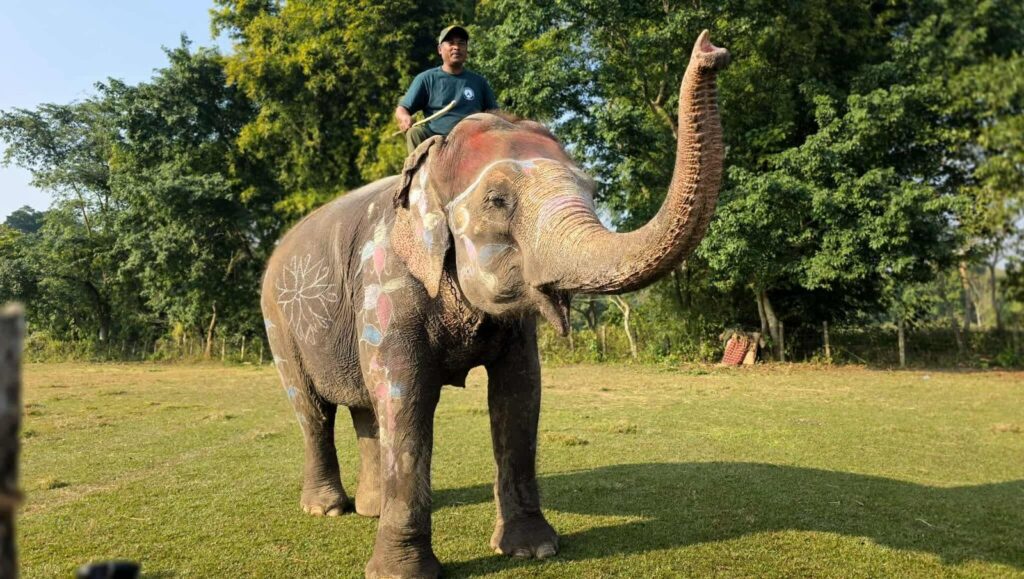 f213c0f5 8448 4d87 8a02 aa09c22529ff