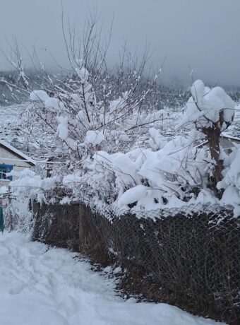 Heavy snowfall disrupts life in western and central Nepal