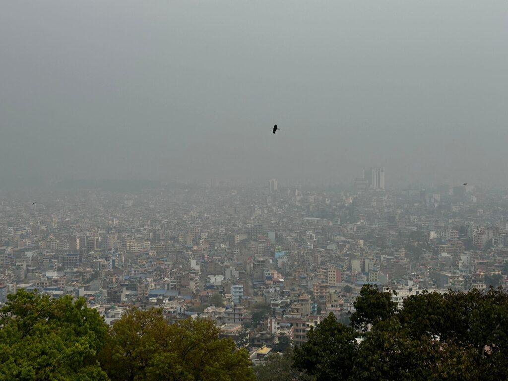 WhatsApp Image 2026 03 09 at 2.10.19 PM