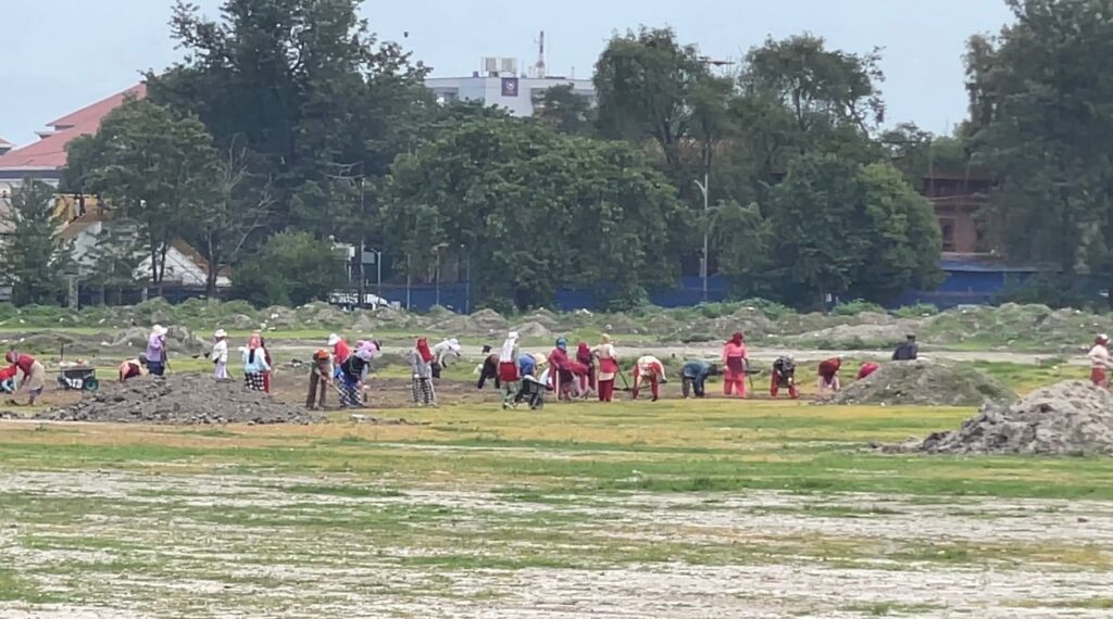 Tundikhel turns green again as grass planting begins in Kathmandu